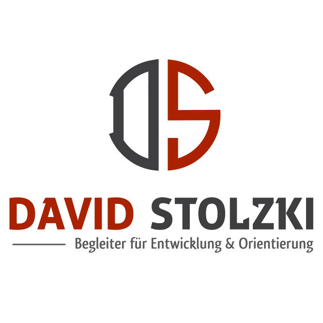 Logo David Stolzki