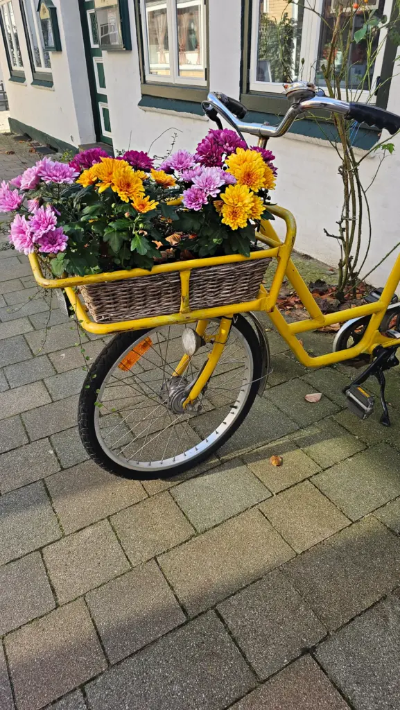 Meldorf Blumenrad