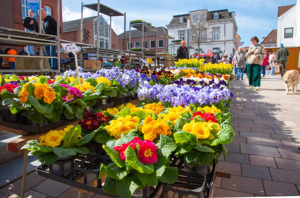 Meldorf Blumenmarkt 2026