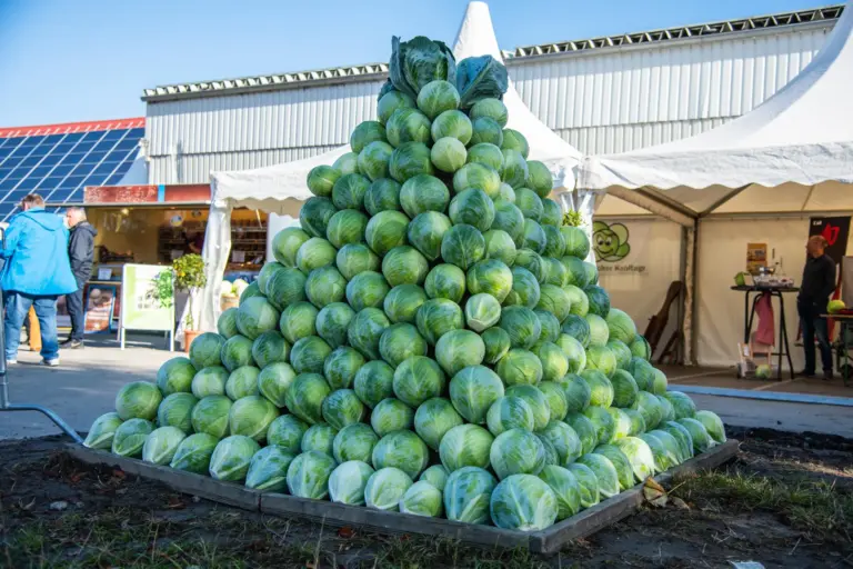 Meldorf Kohltage Kohlpyramide